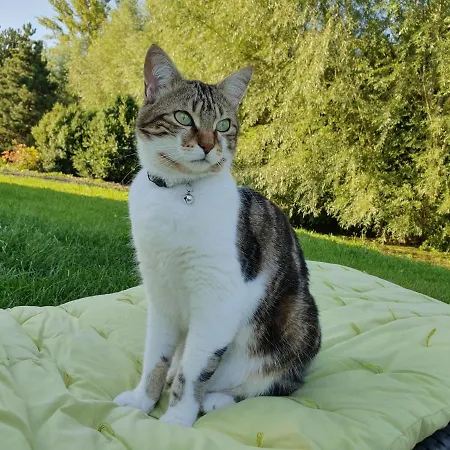 Couette-café Au Jardin Sur L'eau Hortillonnages 3*