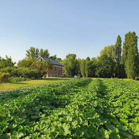 Au Jardin Sur L'eau Hortillonnages Couette-café 3*